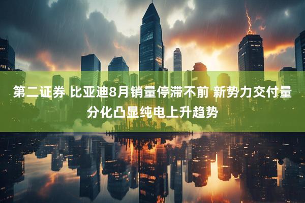 第二证券 比亚迪8月销量停滞不前 新势力交付量分化凸显纯电上升趋势