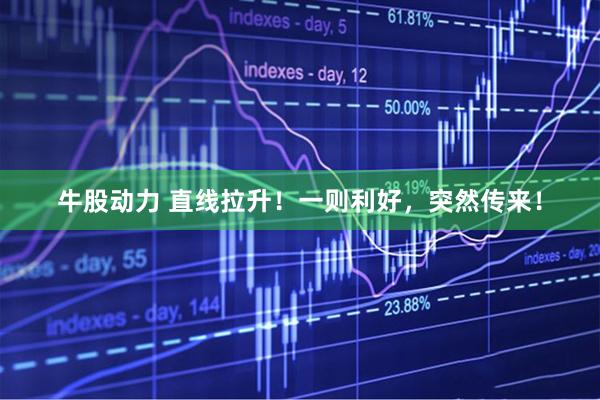 牛股动力 直线拉升！一则利好，突然传来！